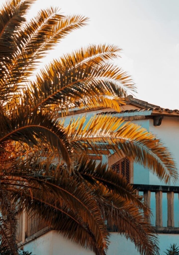 Selling with Villa Contact